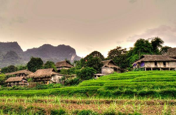Chia sẻ kinh nghiệm du lịch Mai Châu Hòa Bình chi tiết từ A – Z